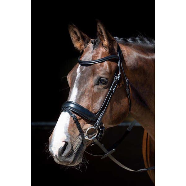 Harry´s Horse Foramen Free Tygel  Pony