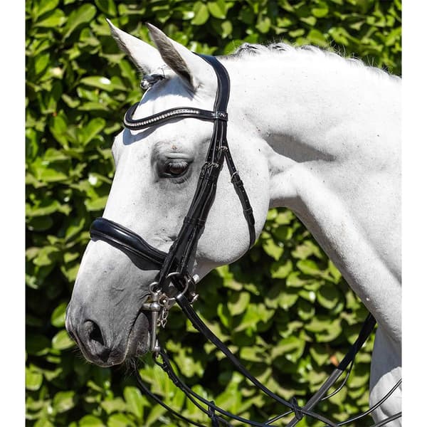Premier Equine Abriano Anatomic Double Tøjle  X-Full
