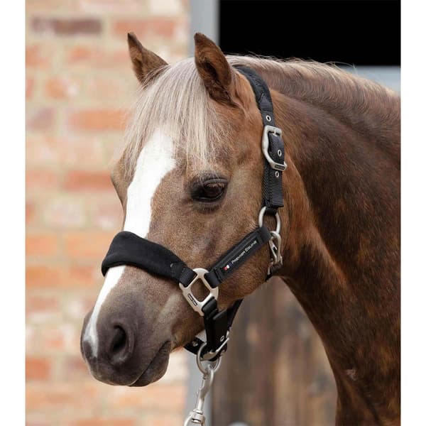 Premier Equine Fleece Padded Hovedtøj  M
