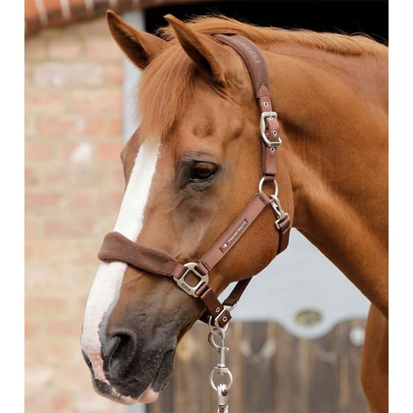 Premier Equine Fleece Padded Hovedtøj  M