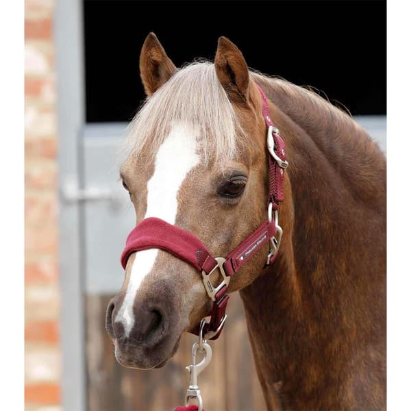 Premier Equine Fleece Padded Hovedtøj  S