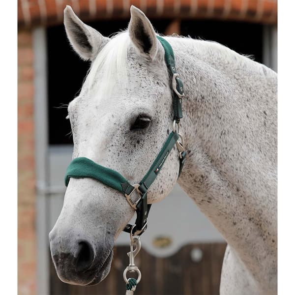 Premier Equine Fleece Padded Hovedtøj  M
