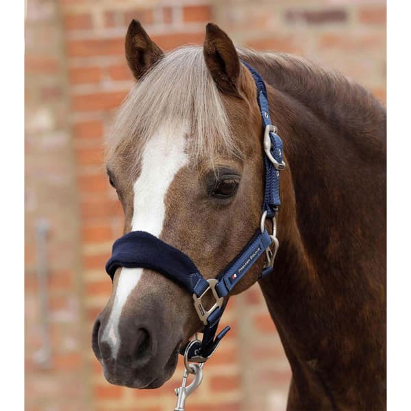 Premier Equine Fleece Padded Hovedtøj  L
