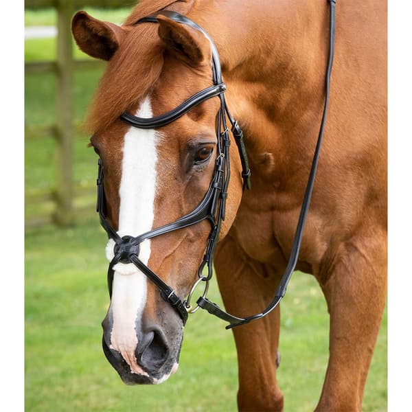 Premier Equine Glorioso Grackle Tøjle  Cob