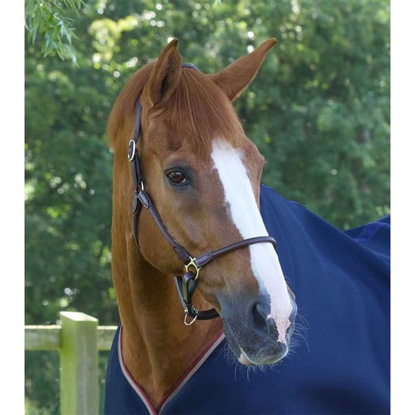 Premier Equine Hennaroso Rolled Anatomic Leather Halter Extra Full