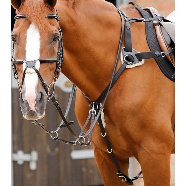 Premier Equine Invorio 5 Point Bröstplåt  Full