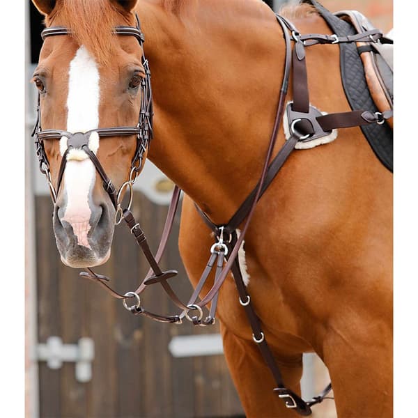 Premier Equine Invorio 5 Point Bröstplåt  Cob