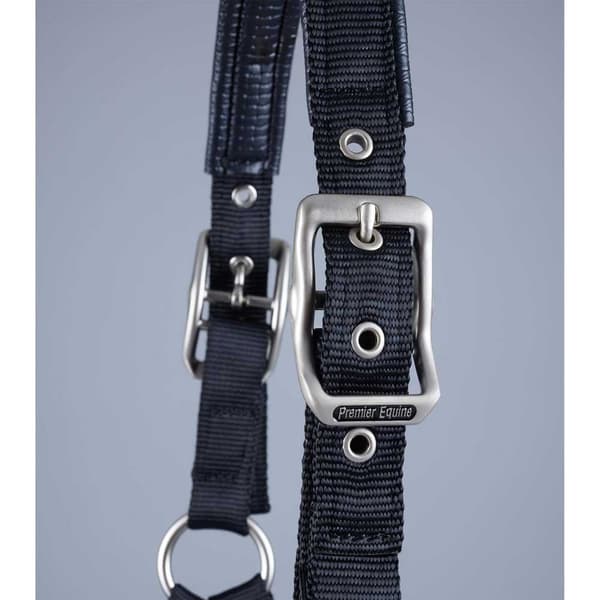 Premier Equine Plain Padded Hovedtøj M