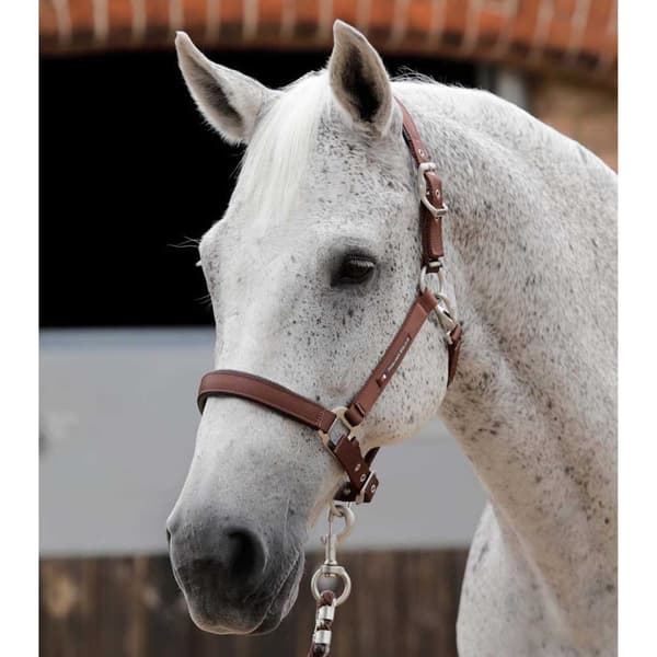 Premier Equine Plain Padded Hovedtøj M