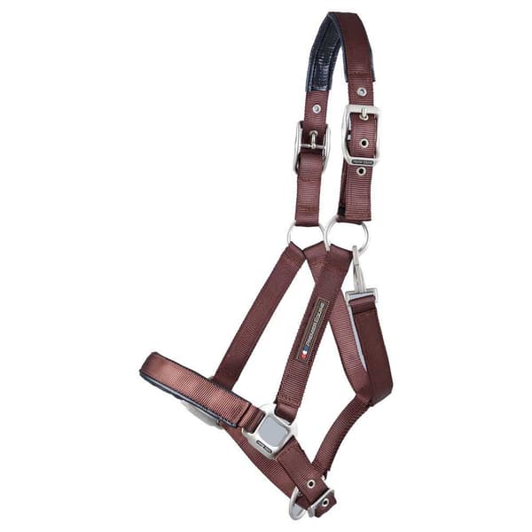 Premier Equine Plain Padded Hovedtøj M