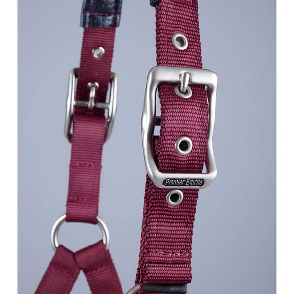 Premier Equine Plain Padded Hovedtøj M