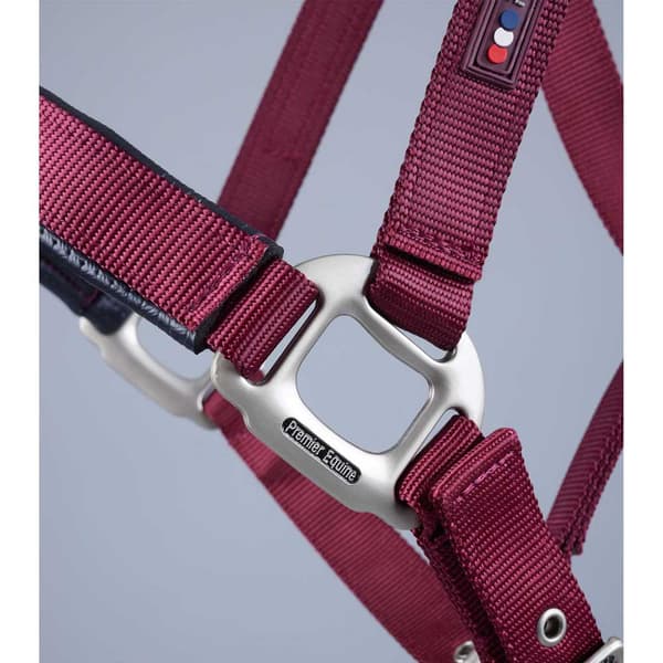 Premier Equine Plain Padded Hovedtøj M