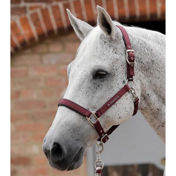 Premier Equine Plain Padded Hovedtøj  M