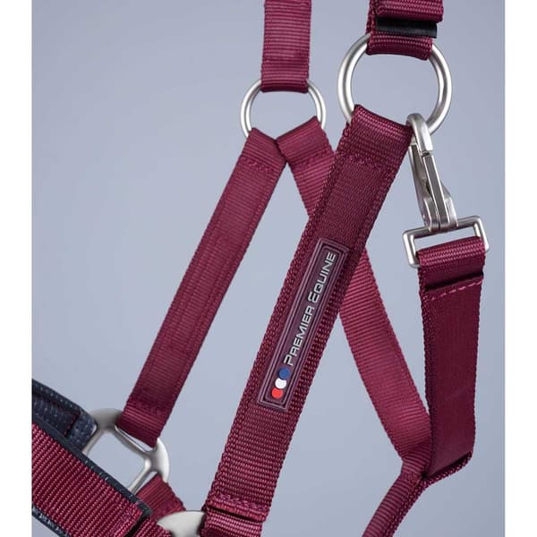 Premier Equine Plain Padded Hovedtøj M