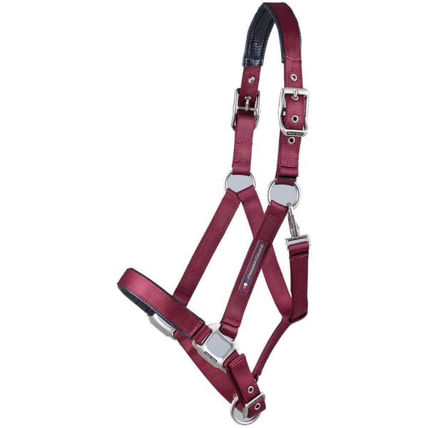 Premier Equine Plain Padded Hovedtøj M