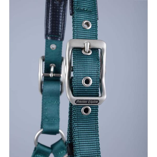 Premier Equine Plain Padded Hovedtøj  L
