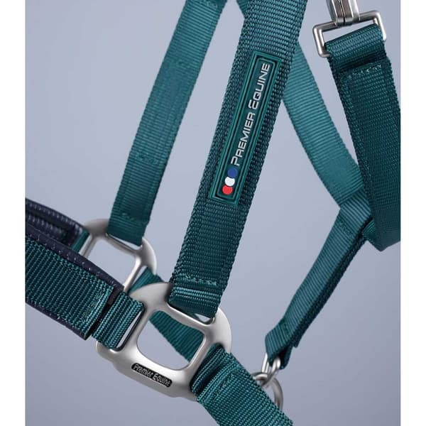 Premier Equine Plain Padded Hovedtøj  L