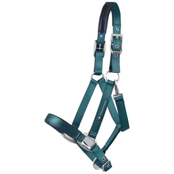 Premier Equine Plain Padded Hovedtøj  L