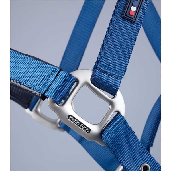 Premier Equine Plain Padded Hovedtøj L