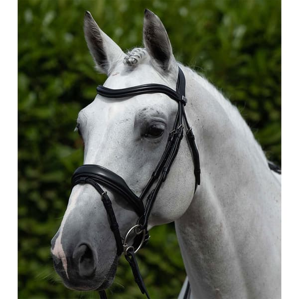 Premier Equine Rizzo Anatomic Snaffle With Flash Tygel  Cob