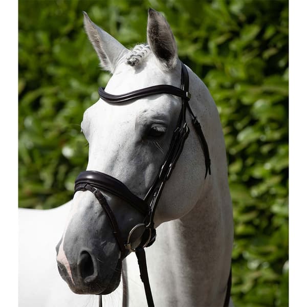 Premier Equine Rizzo Anatomic Snaffle With Flash Tøjle  XFull