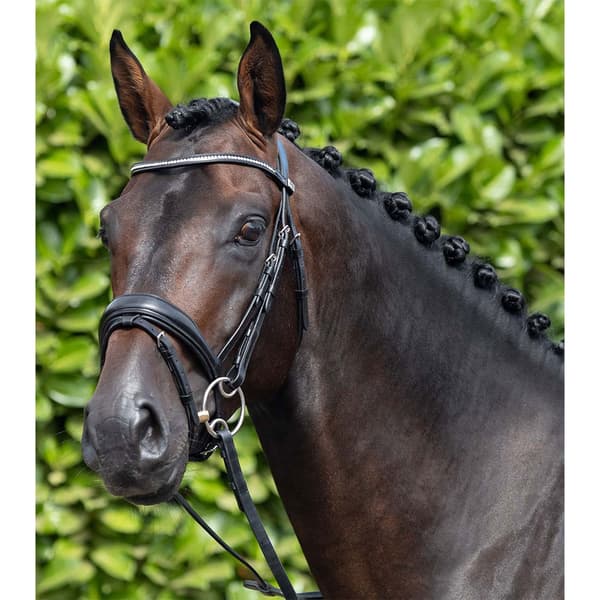 Premier Equine Stellazzio Anatomic Snaffle With Flash Tøjle  XFull