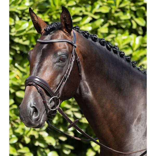 Premier Equine Stellazzio Anatomic Snaffle With Flash Tygel Cob