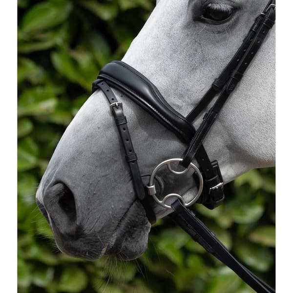 Premier Equine Sweet Iron Bevel With Brass Alloy Lozenge Bit  12 cm