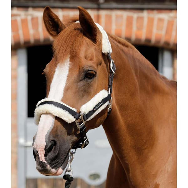 Premier Equine Techno Wool Lined Hovedtøj M
