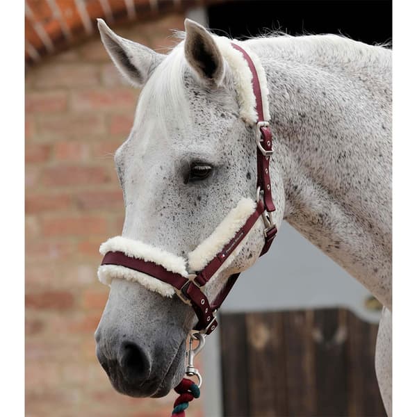 Premier Equine Techno Wool Lined Hovedtøj  M
