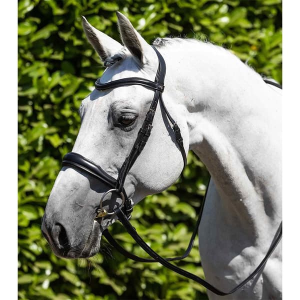 Premier Equine Verdura Anatomic Snaffle Tøjle  XFull