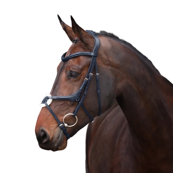 Velociti Lusso Leather Horse Grackle Bridle