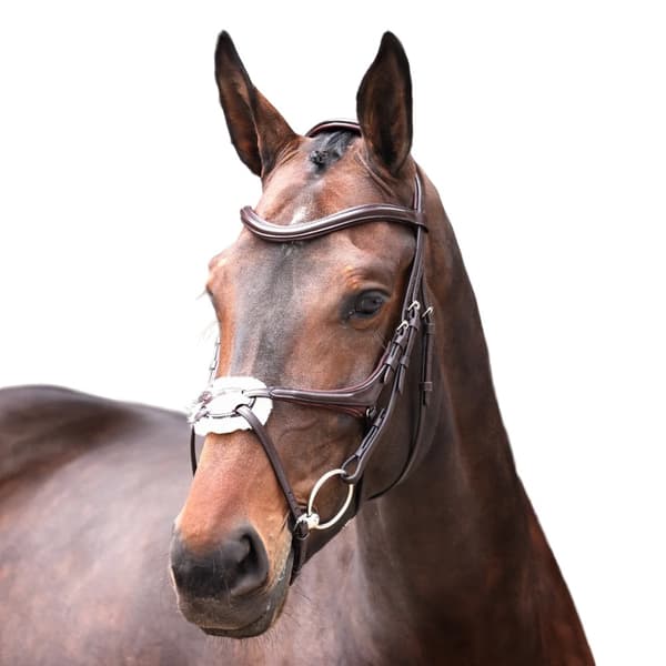 Velociti Lusso Leather Horse Grackle Bridle
