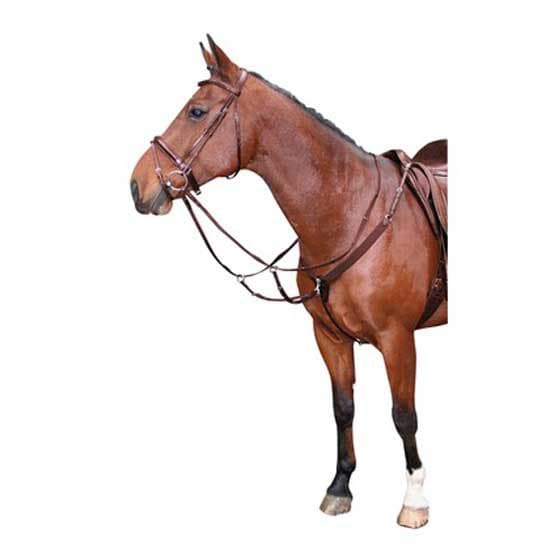 Harry´s Horse Elastisk Bröstplatta  Cob