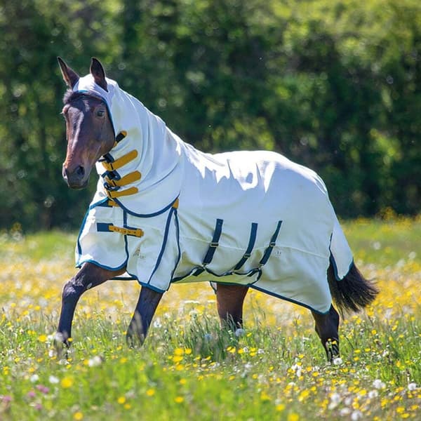Shires Highlander Plus Sweet-itch Horse Combo Rug