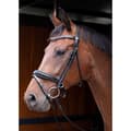 Miniatyrbillede 2 af 2: Harry´s Horse Lacque Rundsyet Grime  Cob