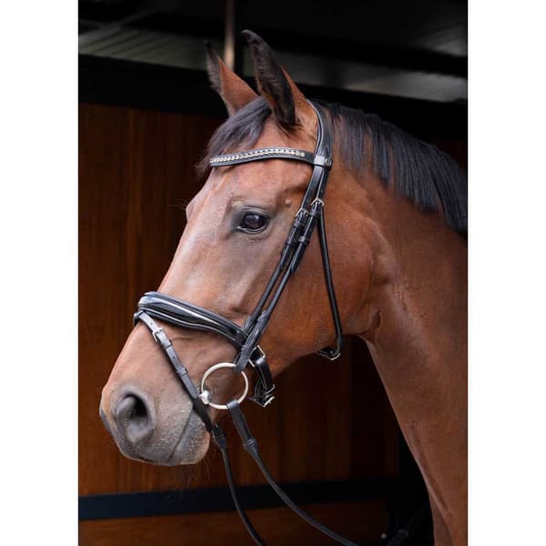 Harry´s Horse Lacque Rundsyet Grime  Cob