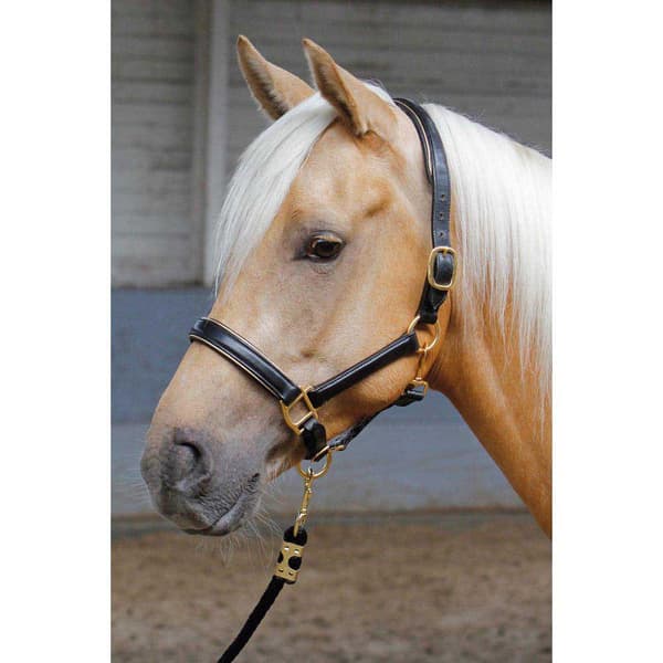 Harry´s Horse Nahkainen Riimu Reunuksella  Cob