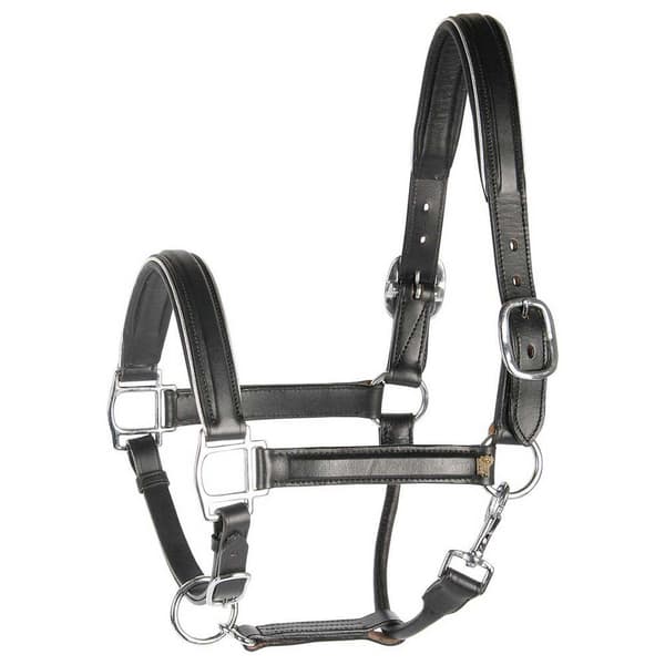 Harry´s Horse Nahkainen Riimu Reunuksella  Pony