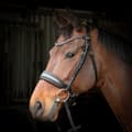 Pikkukuva 3 / 3: Harry´s Horse Liberty Soft Suitset  Cob