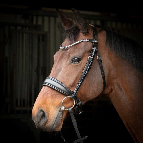Harry´s Horse Liberty Soft Suitset  Cob