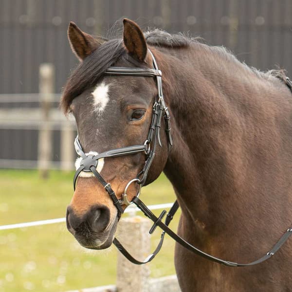 Harry´s Horse Mexican Tøjle Cob