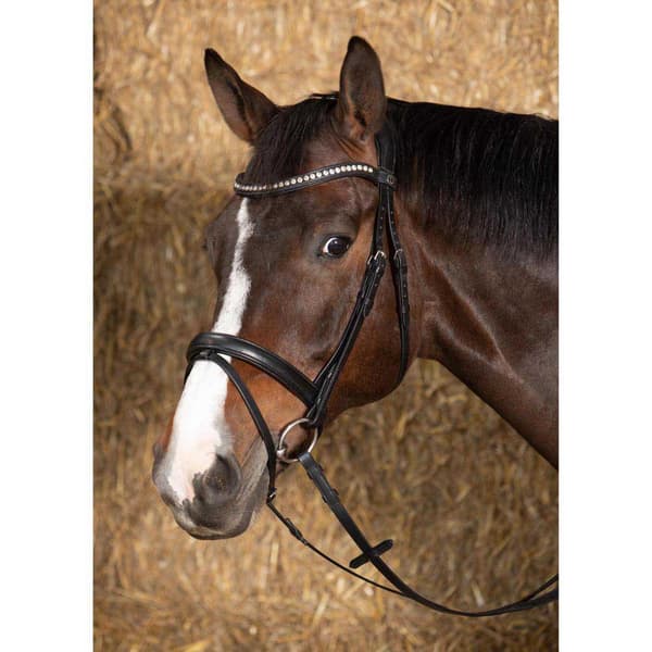 Harry´s Horse Nero Soft Suitset  Cob