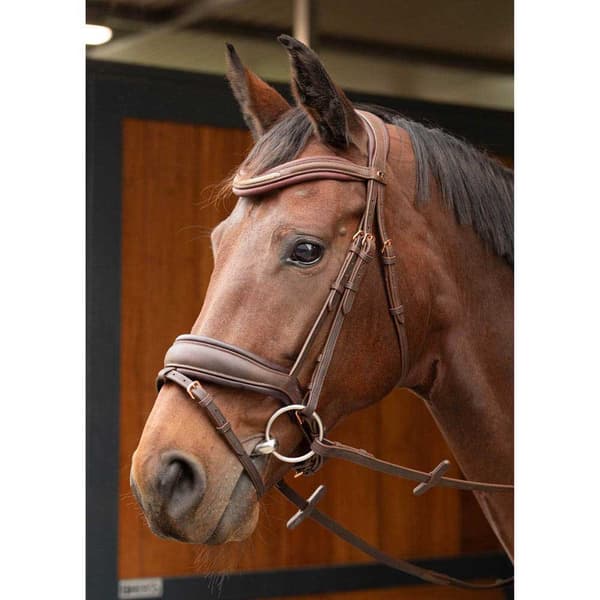 Harry´s Horse Soft Bombastic Tøjle  Cob