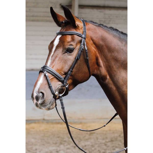 Harry´s Horse Soft Suitset  Full