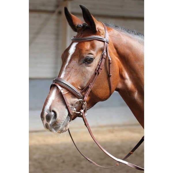 Harry´s Horse Soft Suitset  Cob