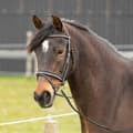 Miniatyrbillede 4 af 4: Harry´s Horse Two-tone Tøjle  Full