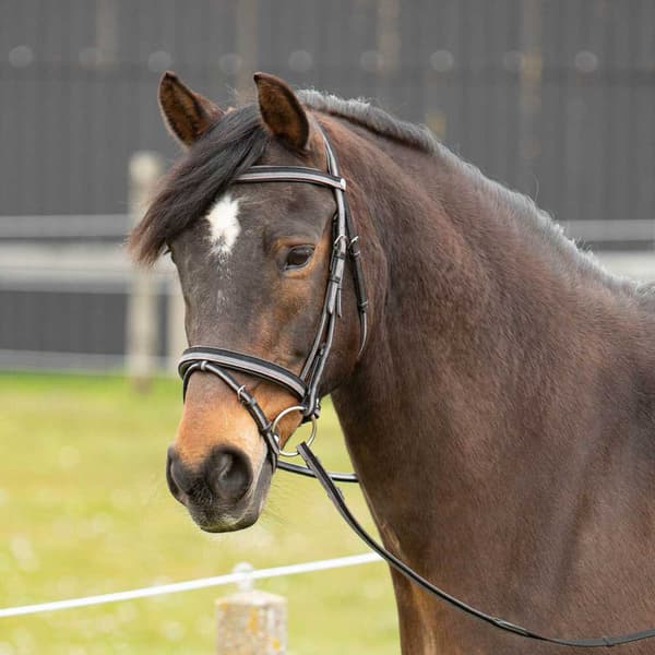 Harry´s Horse Two-tone Tøjle  Full