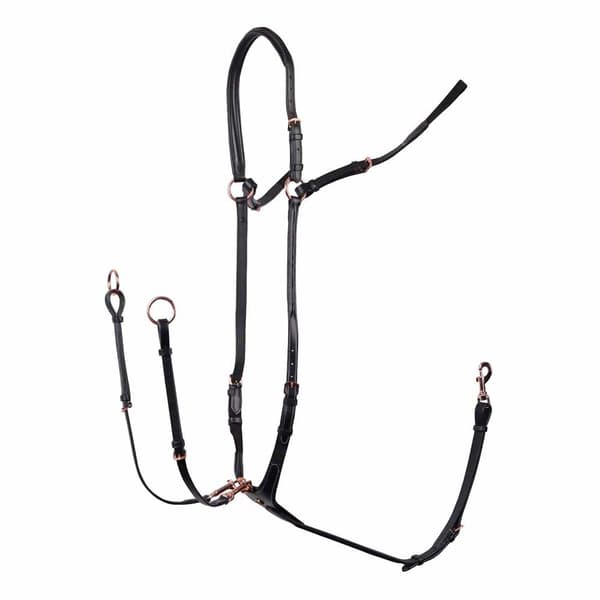 Harry´s Horse Rosegold Brystpanser  Full