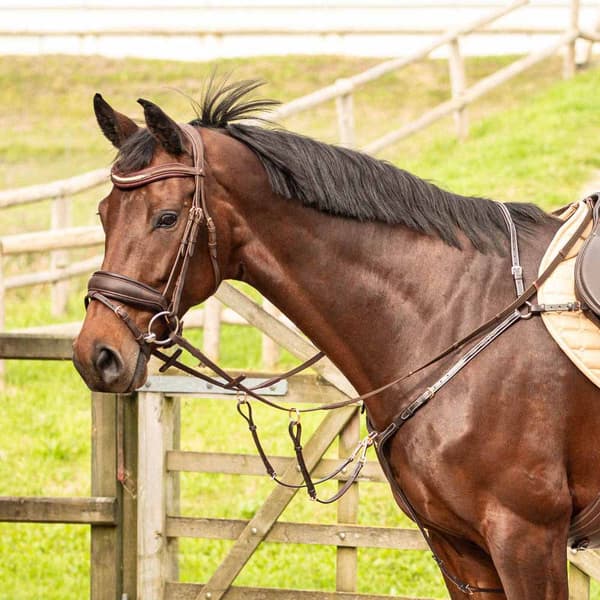 Harry´s Horse Rosegold Bröstplåt  Cob